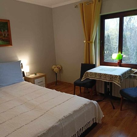 Mroczkowka Appartement Debowiec  Buitenkant foto