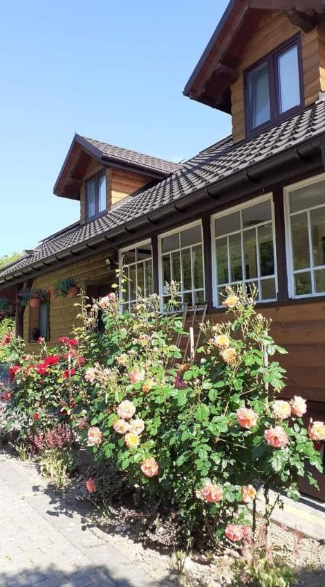 Mroczkowka Appartement Debowiec  Buitenkant foto