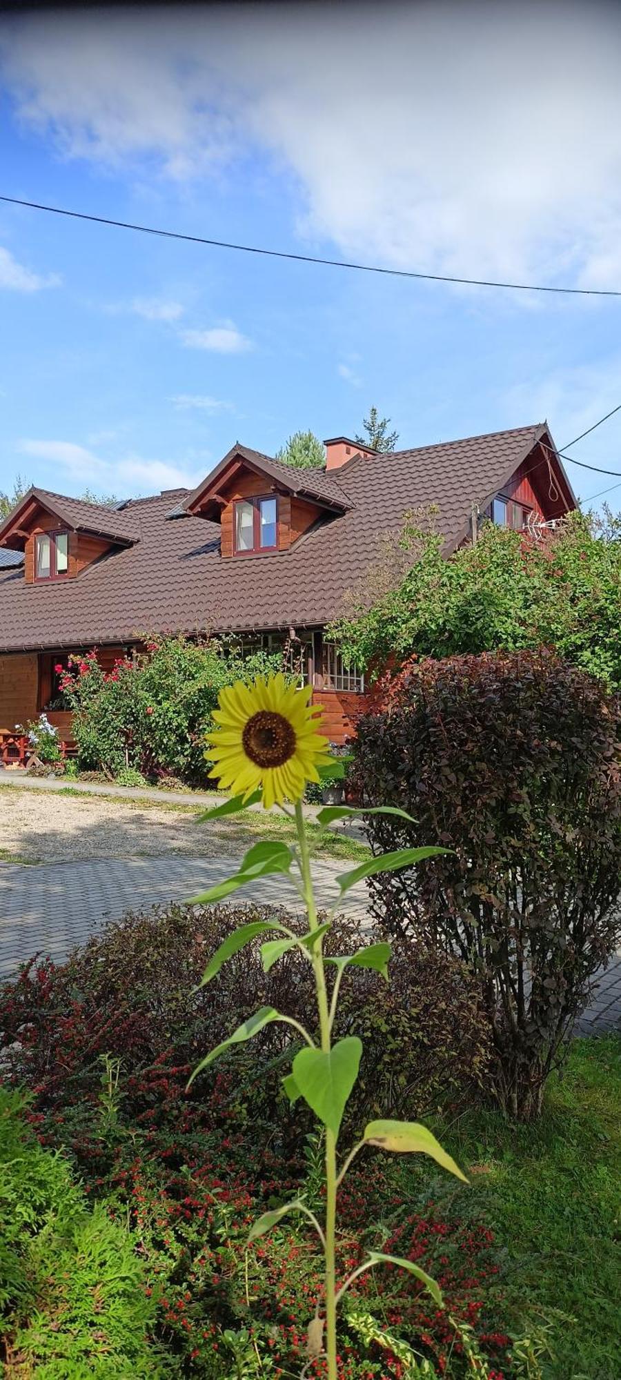 Mroczkowka Appartement Debowiec  Buitenkant foto